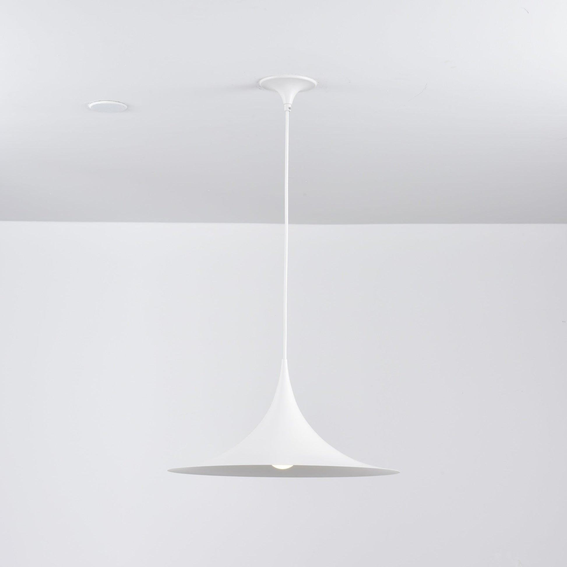 Semi Pendant Light