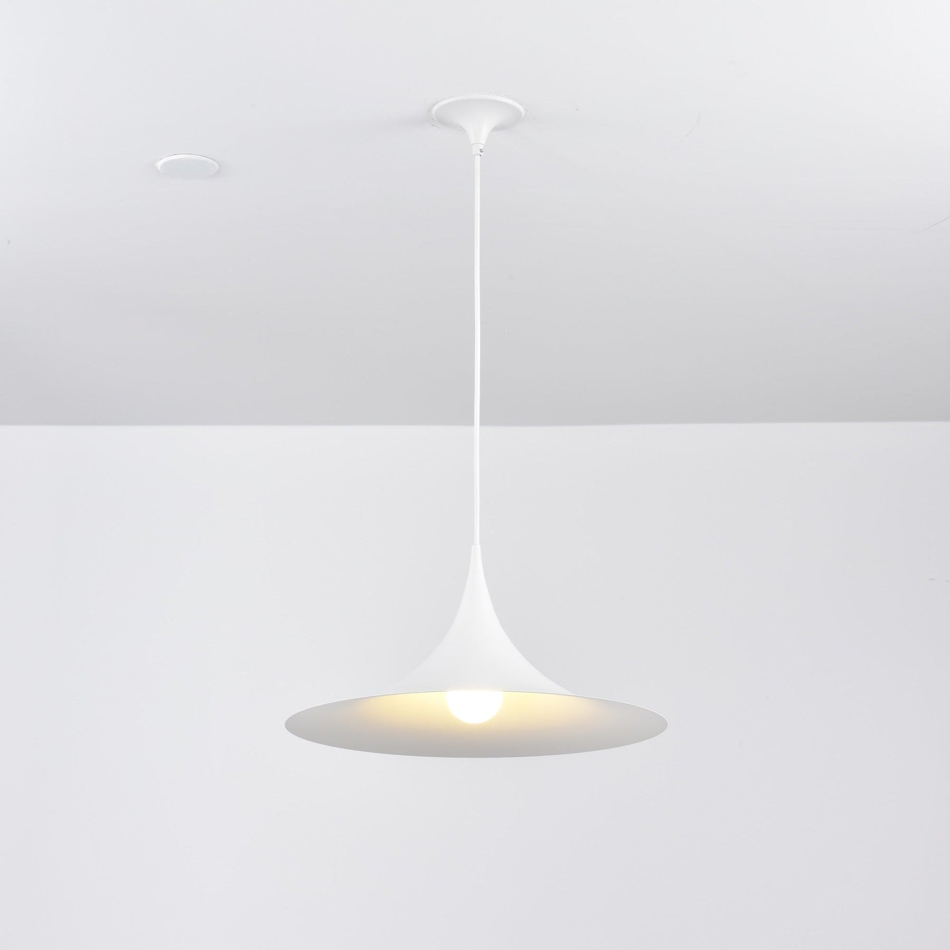 Semi Pendant Light