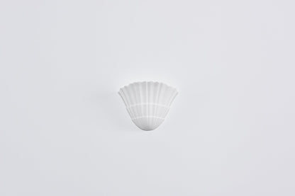 Shella Wall Light