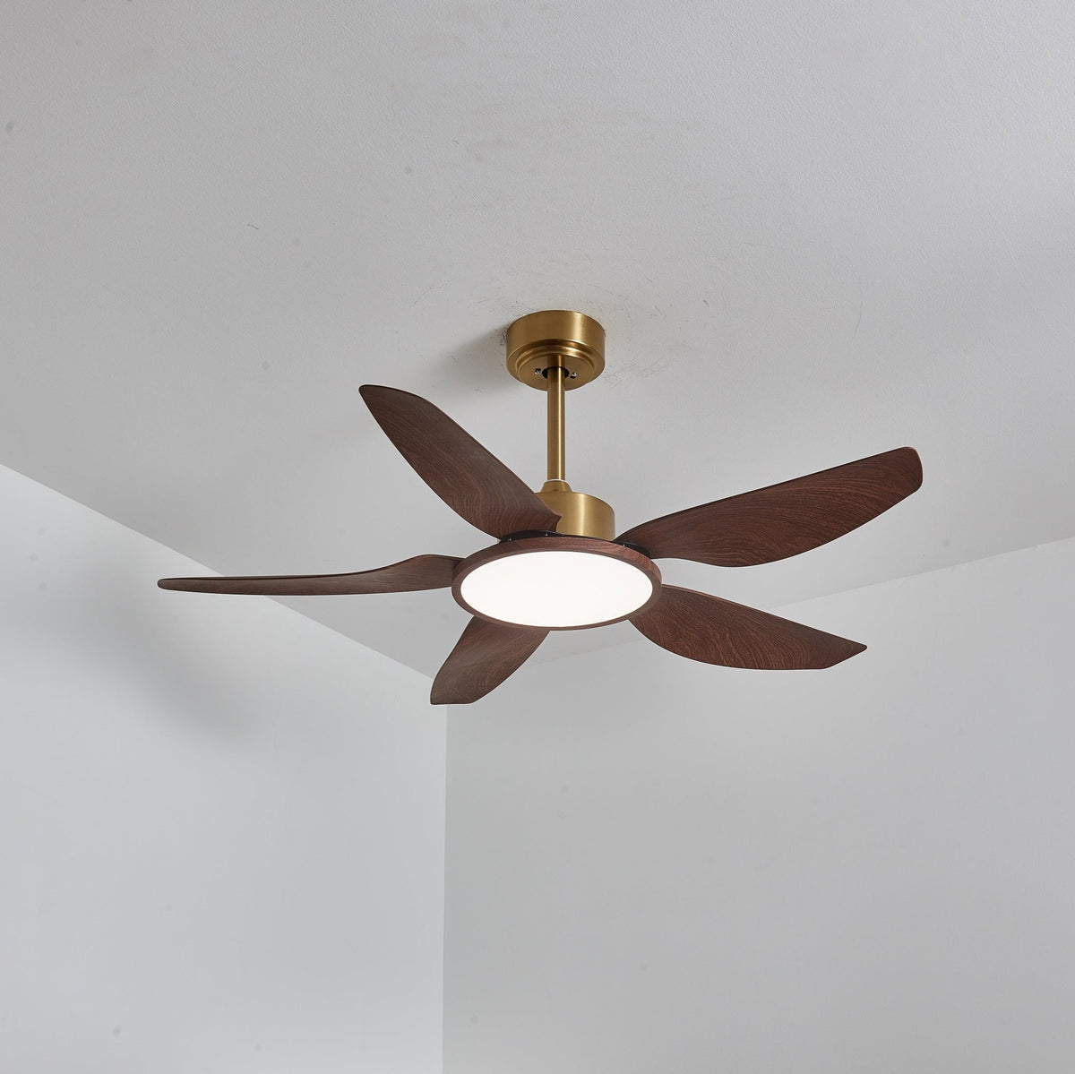 Sirocco Breeze Ceiling Fan Light