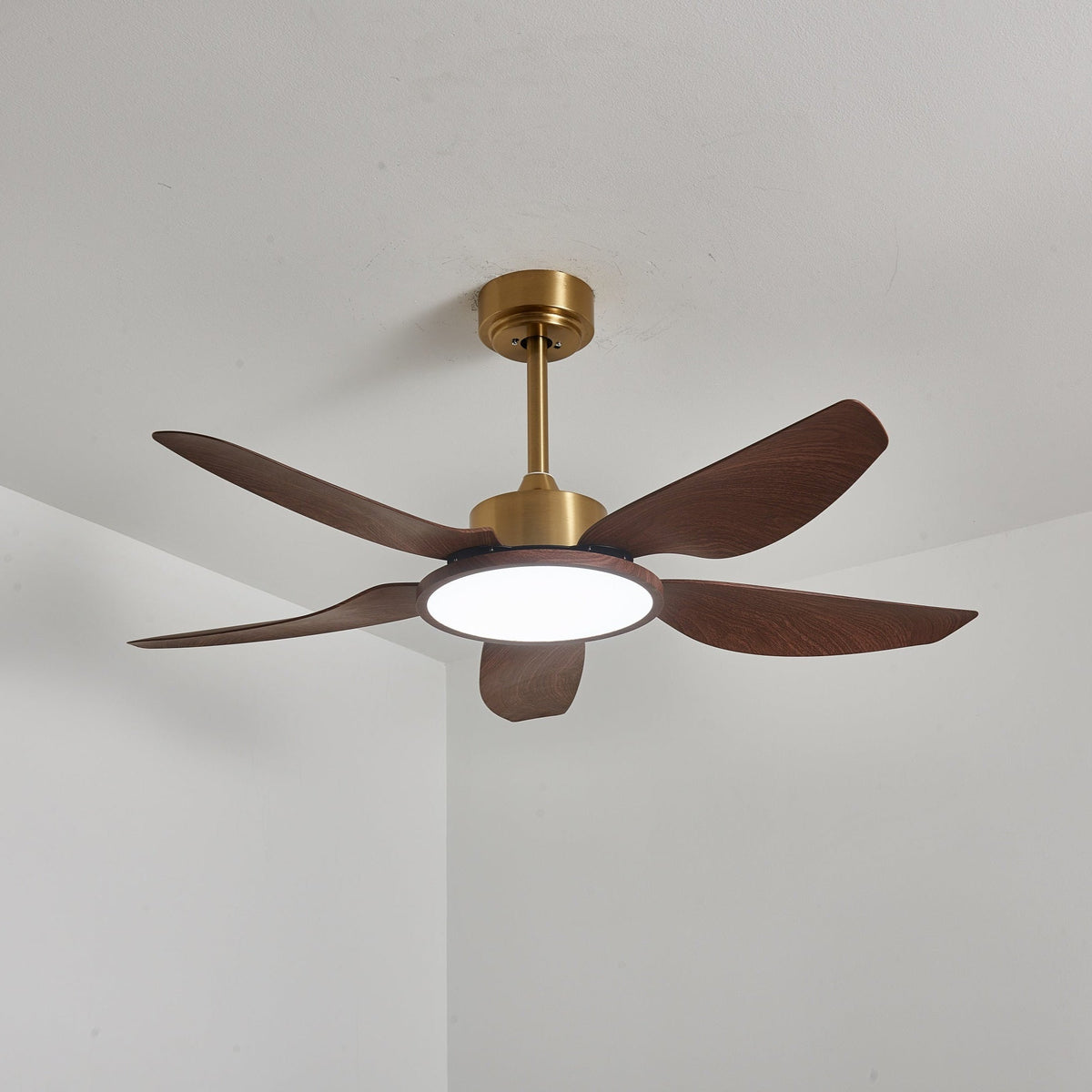 Sirocco Breeze Ceiling Fan Light