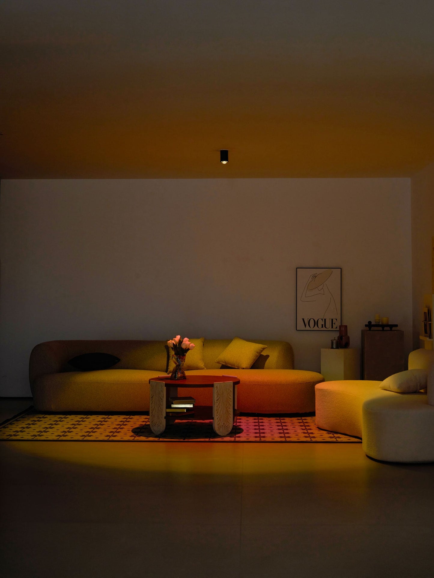 Sunset Adjustable LED Spotlight