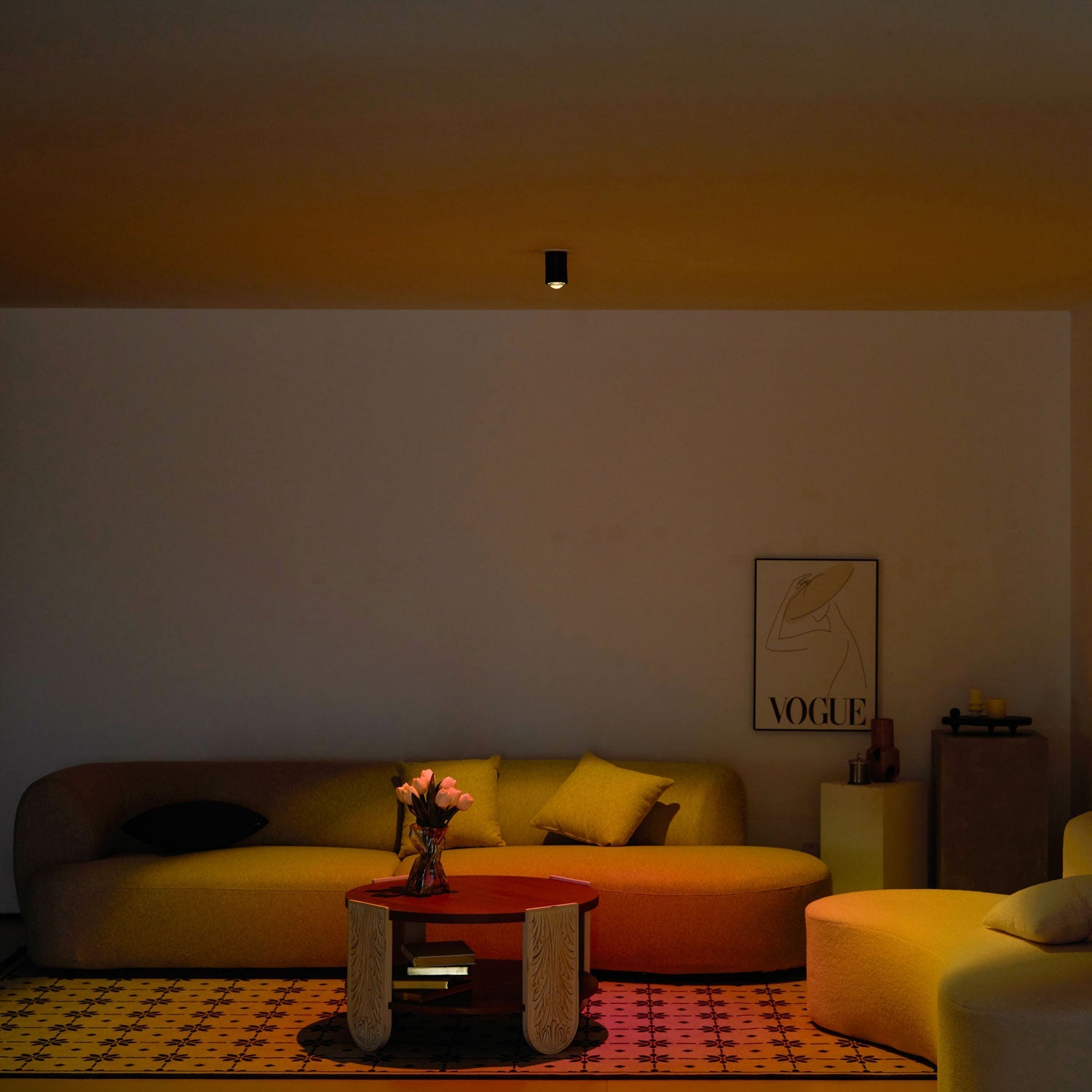Sunset Adjustable LED Spotlight