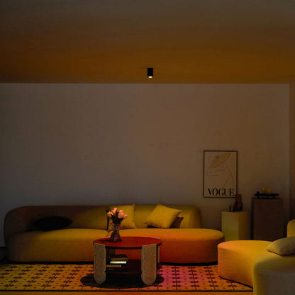 Sunset Adjustable LED Spotlight