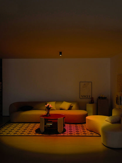 Sunset Adjustable LED Spotlight