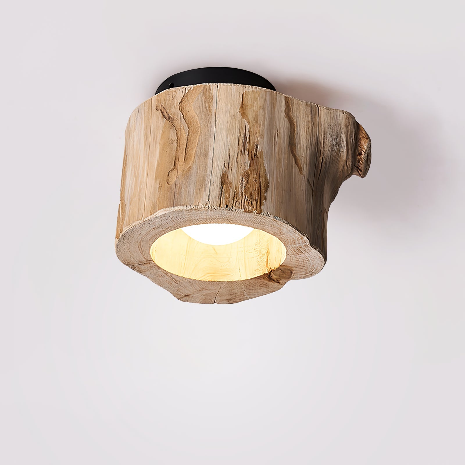 Tarn Hollow Ceiing Lamp