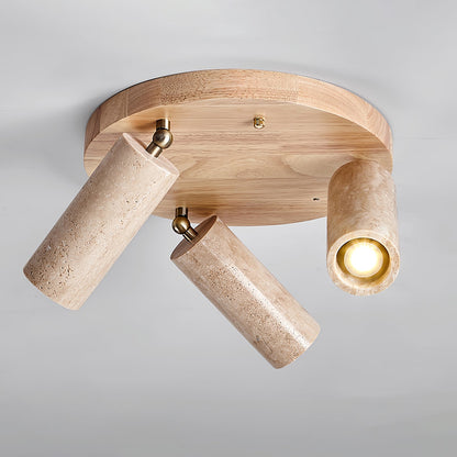 Terra Beam Ceiling Light