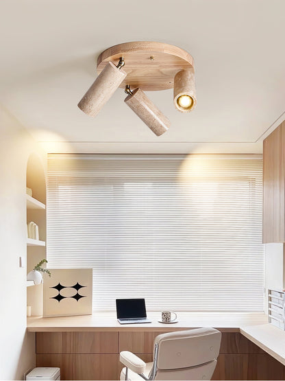 Terra Beam Ceiling Light