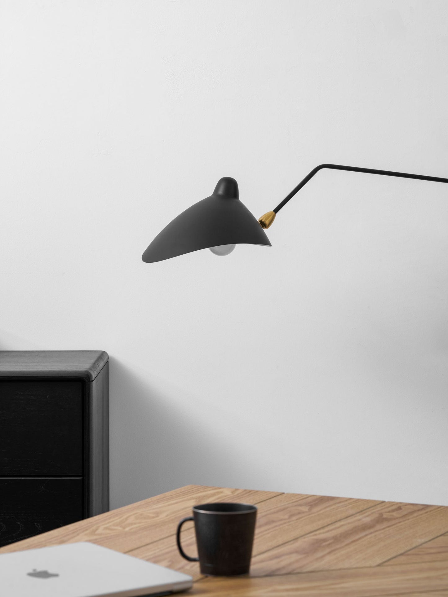 Versatile Arm Wall Sconce