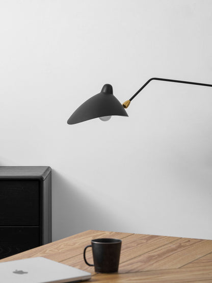 Versatile Arm Wall Sconce