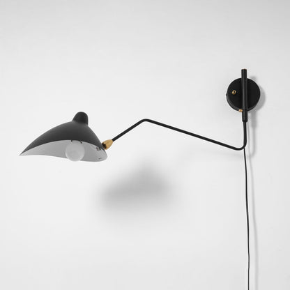 Versatile Arm Wall Sconce