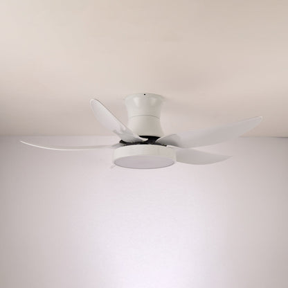 Zephyr Noir Ceiling Fan Light