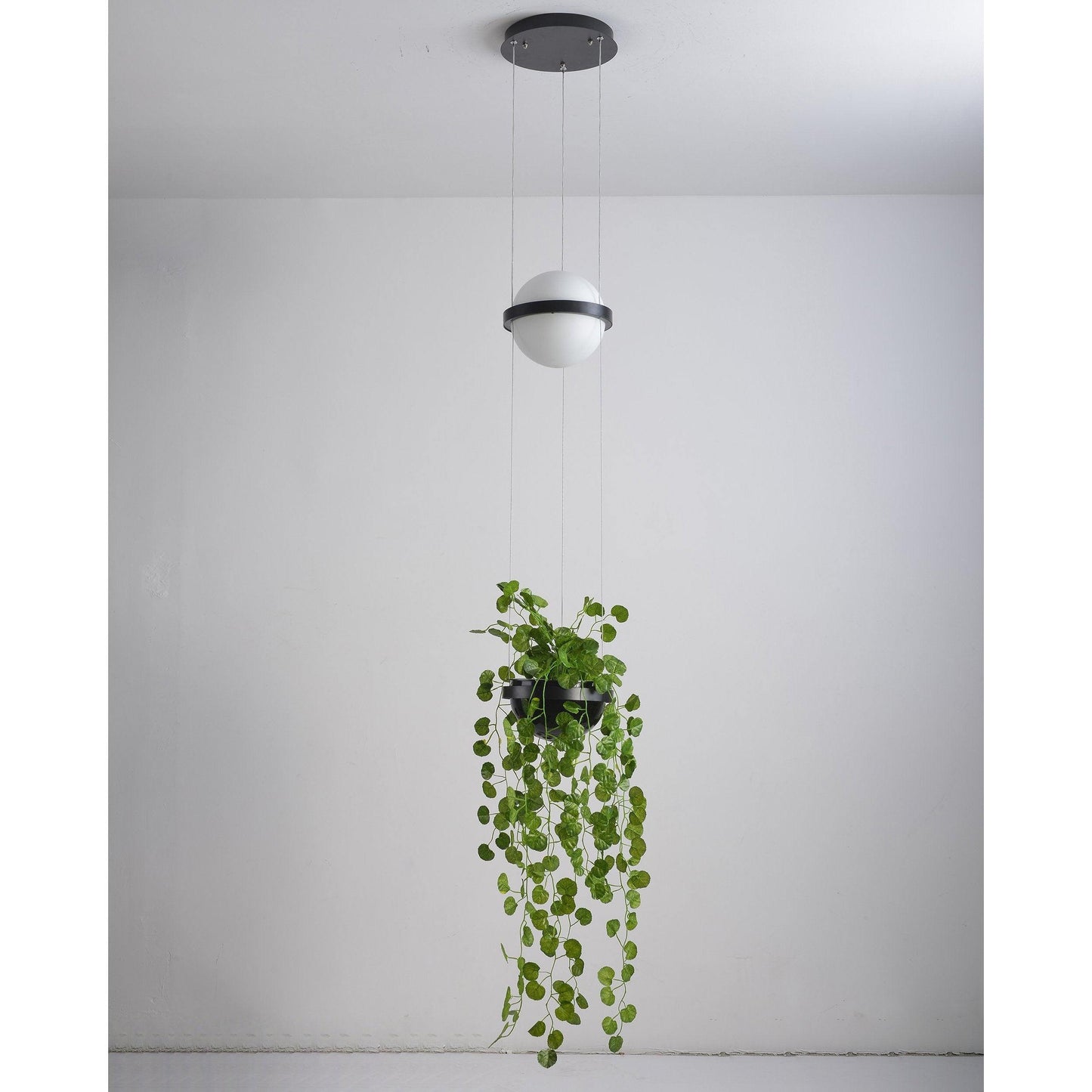 Palma Pendant Lamp