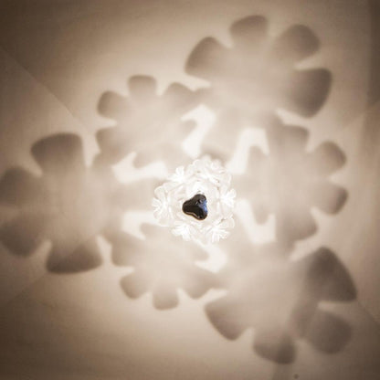 Chlorophilia Suspension Light