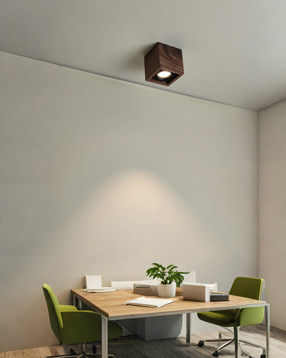 Sollox Ceiling Light