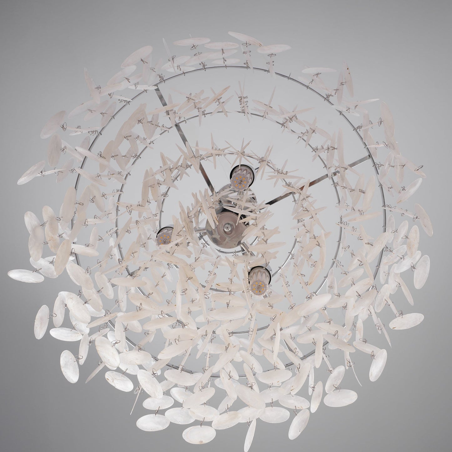 Round Shell Chandelier