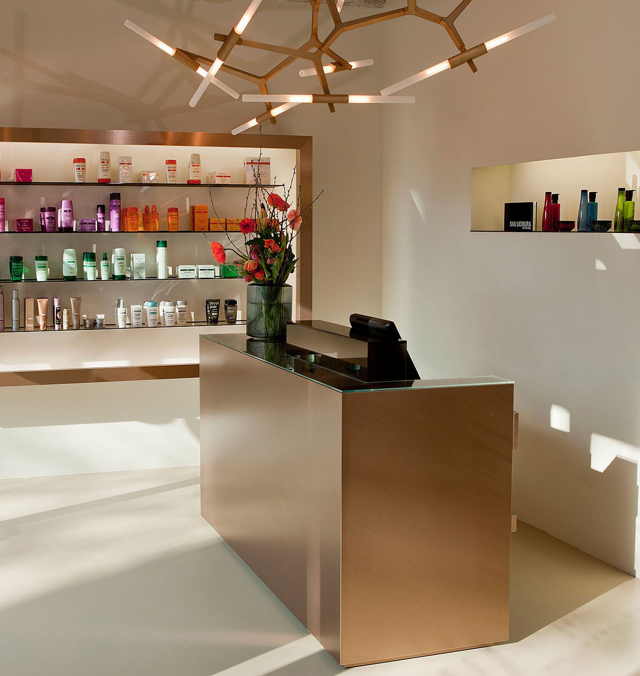 Tree Branch Chandelier