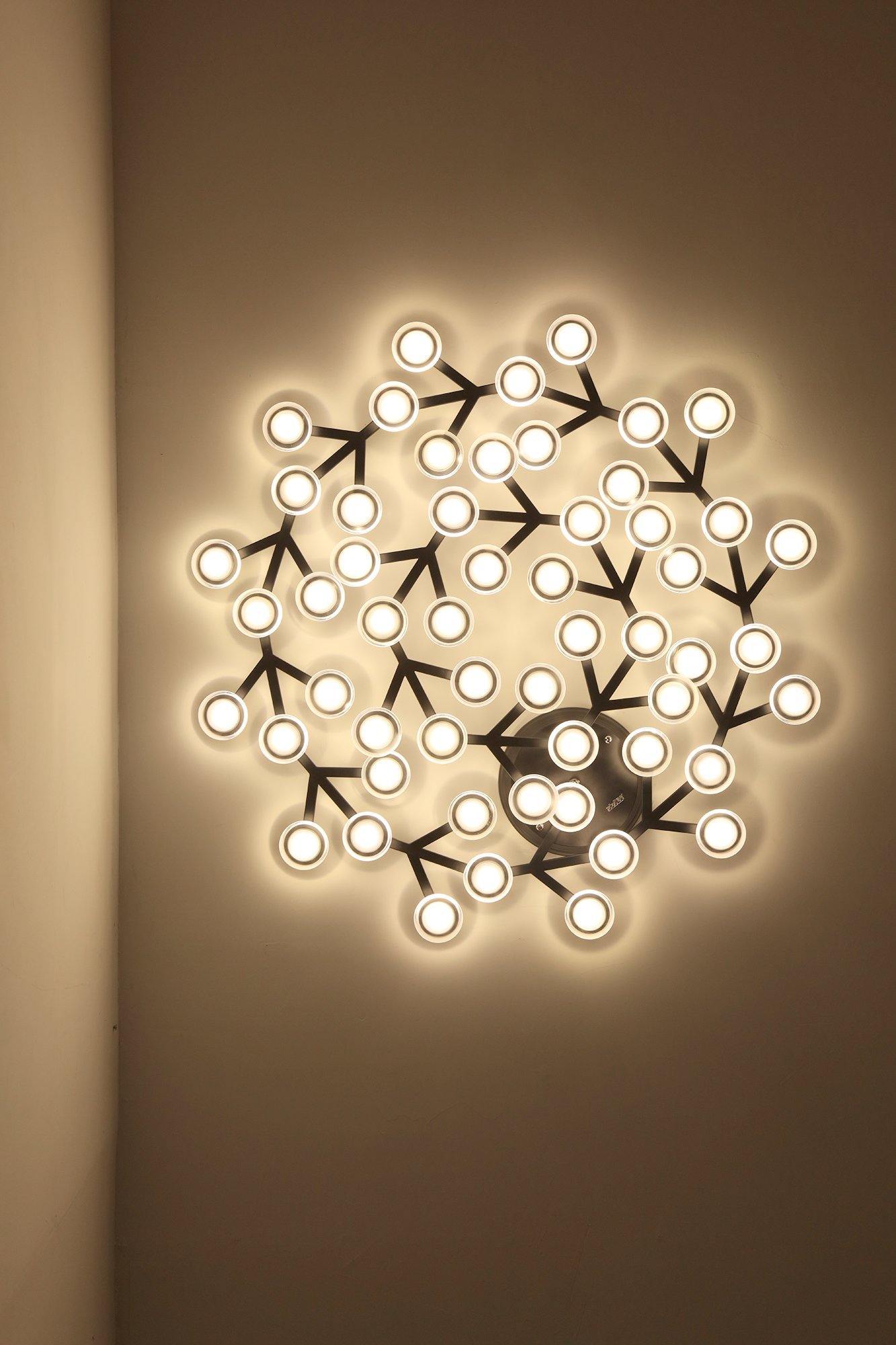 LED Net Ceiling Lamp