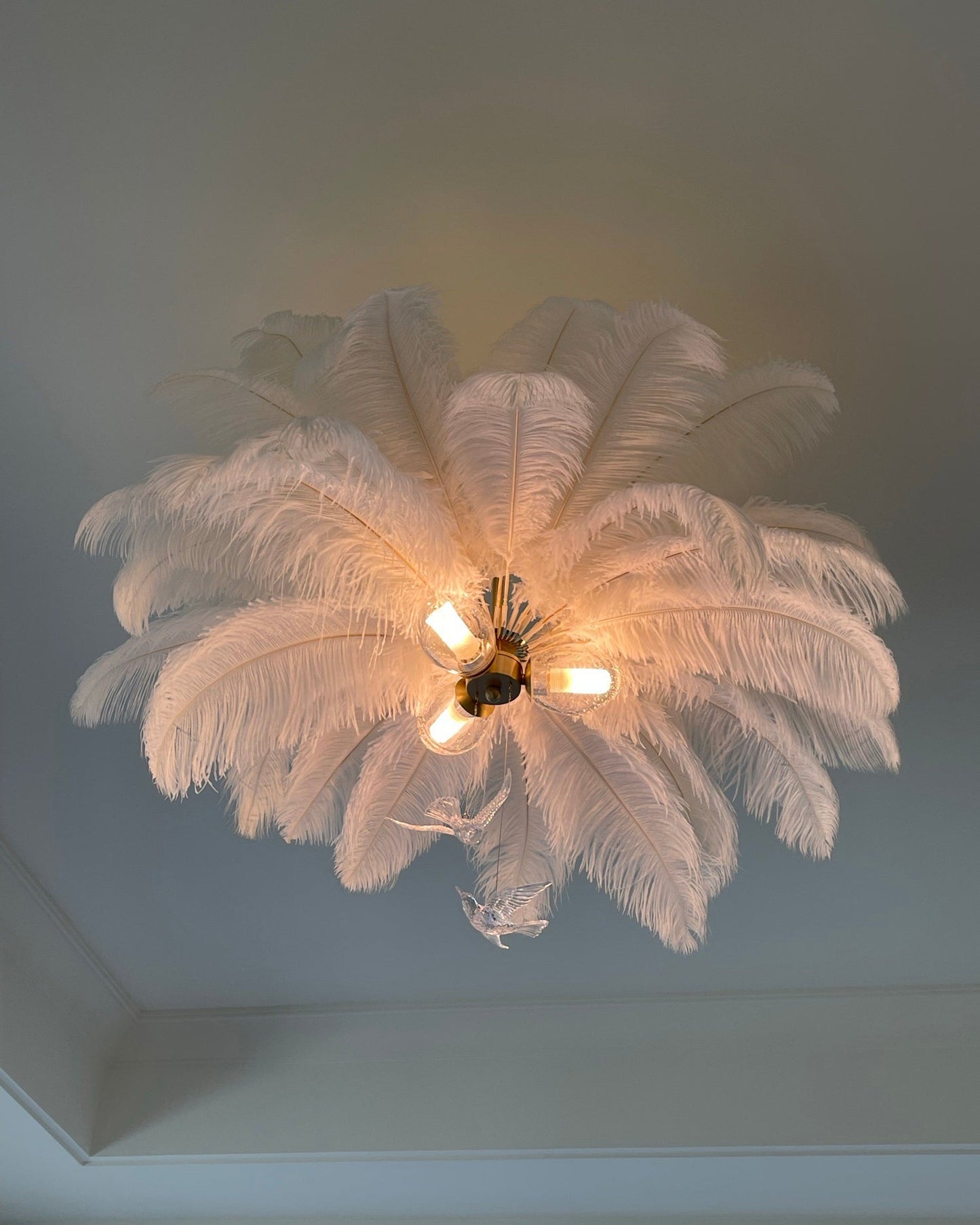 Ostrich Feather Chandelier