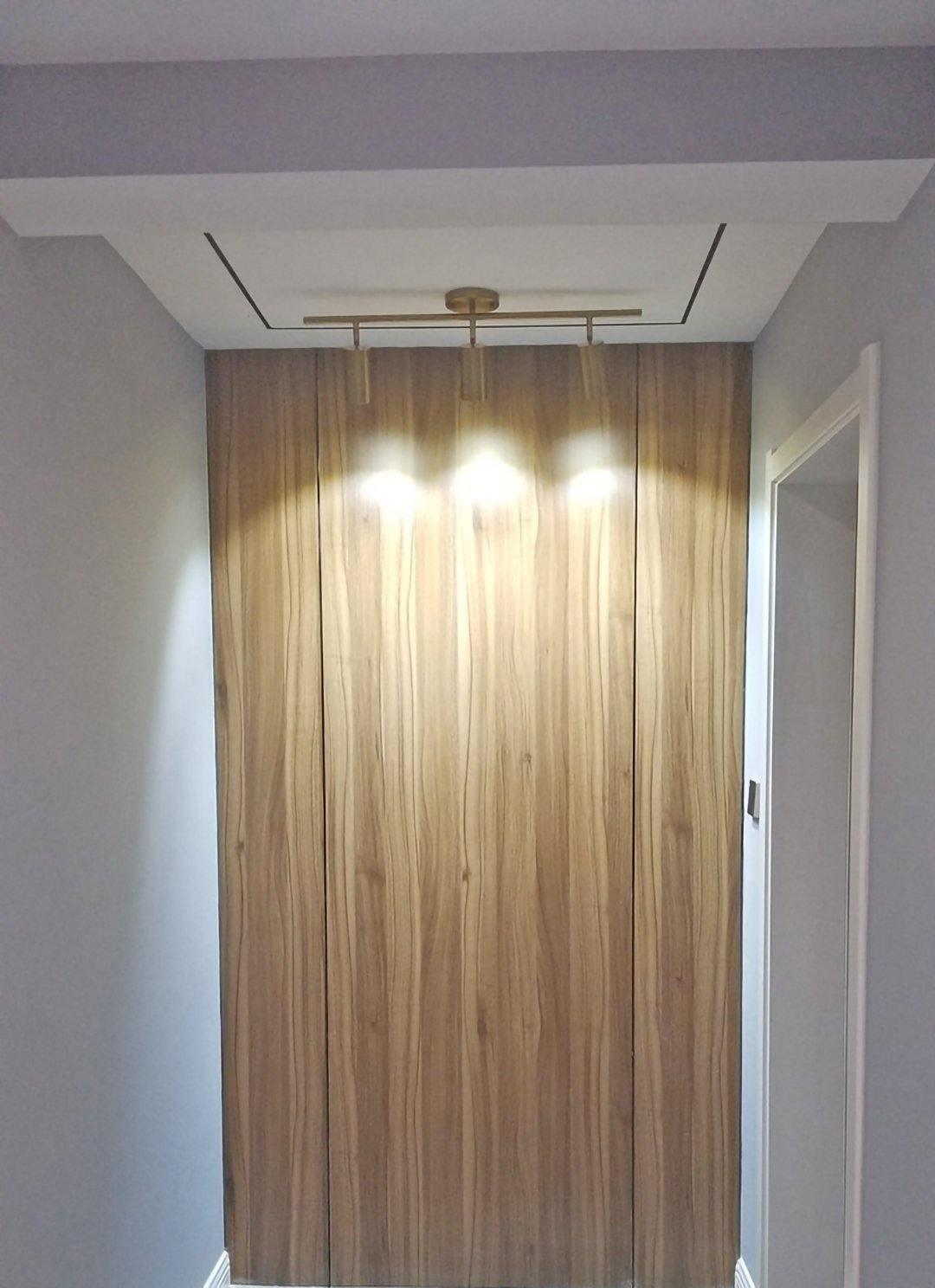 Modern Delia Ceiling Lamp
