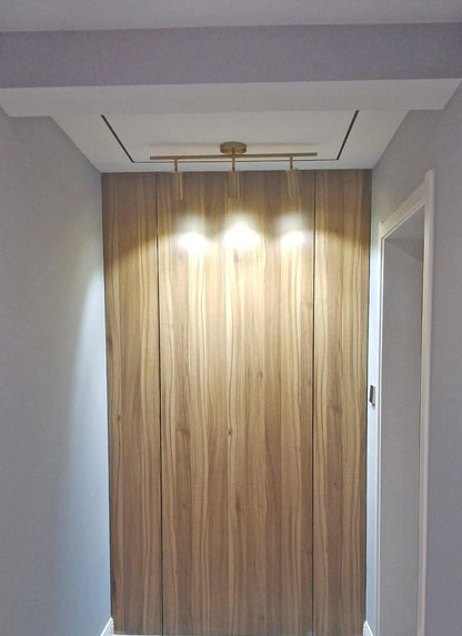 Modern Delia Ceiling Lamp