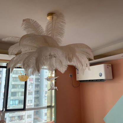 Ostrich Feather Chandelier