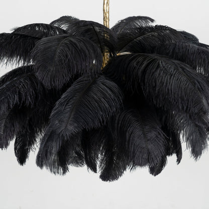 Ostrich Feather Chandeliers
