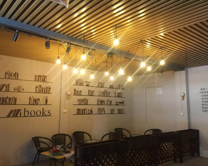 Spider Ceiling Chandelier