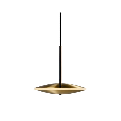 Dish Pendant Light