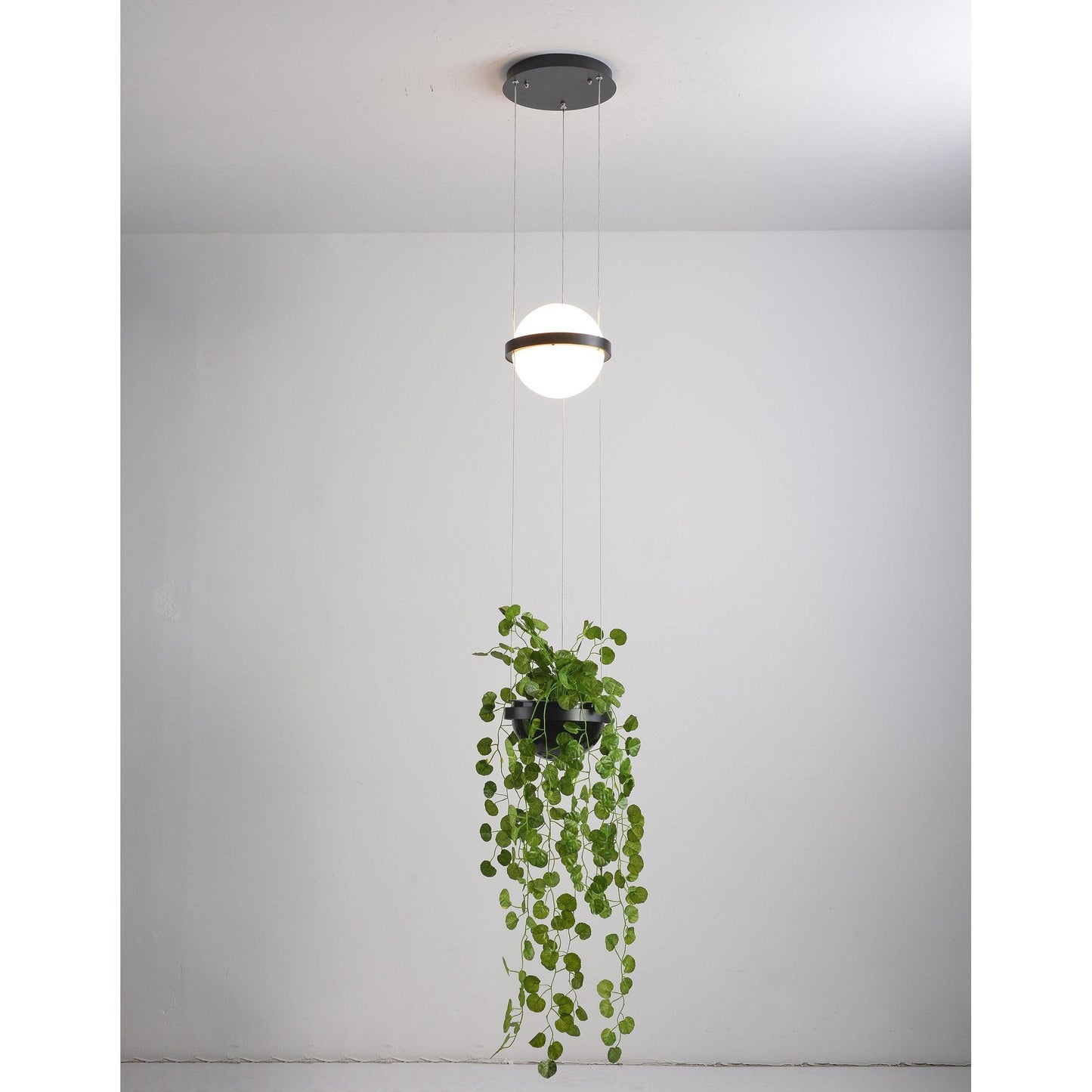 Palma Pendant Lamp