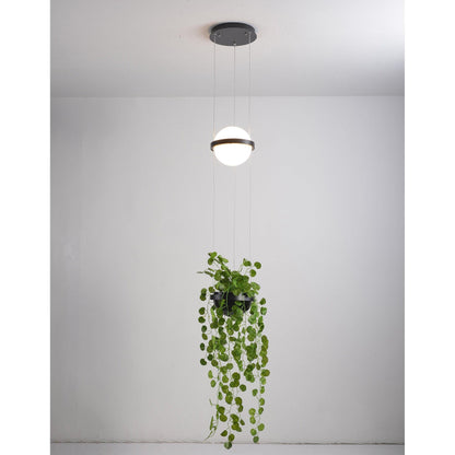 Palma Pendant Lamp