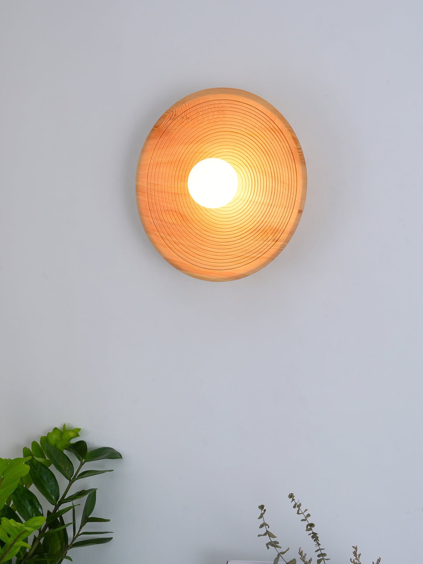Annual Ring Wall Lamp