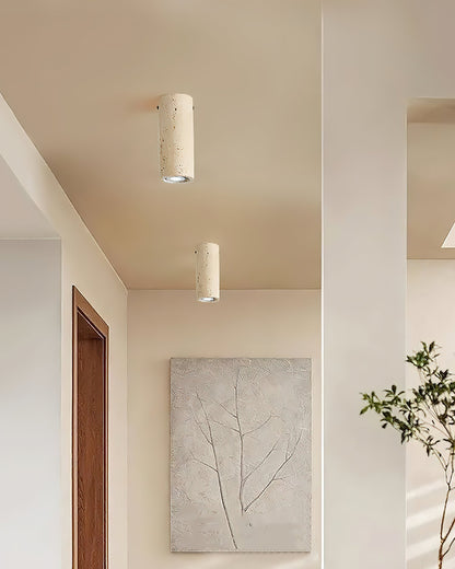 Toscot Ceiling Lamp