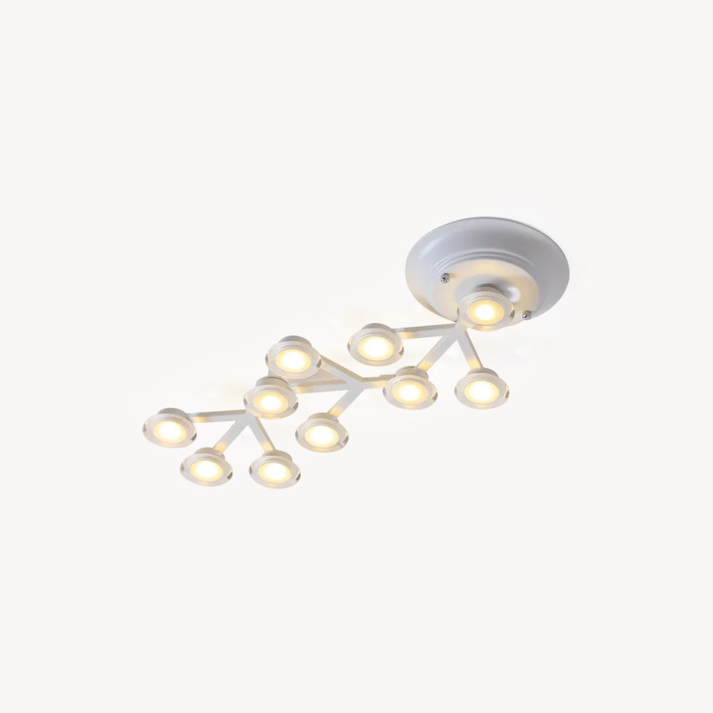LED Net Ceiling Lamp