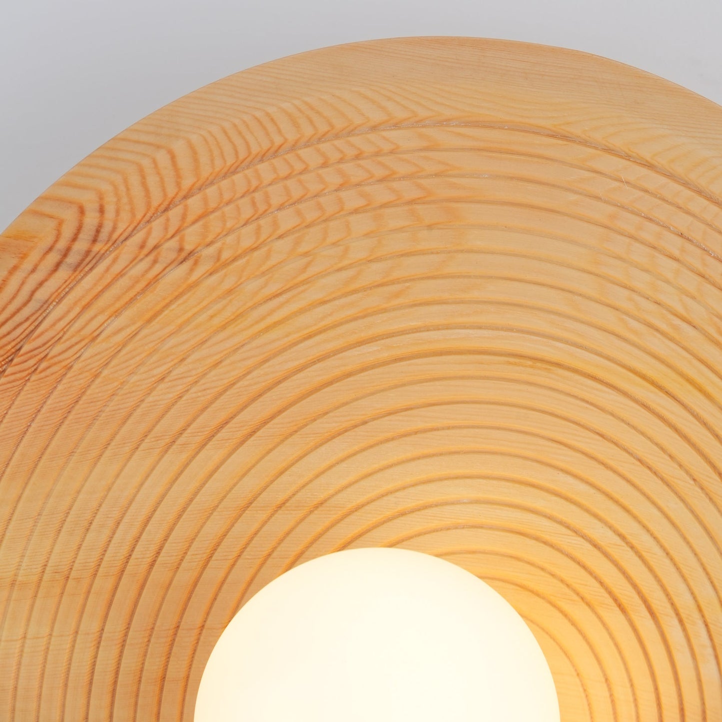 Annual Ring Wall Lamp