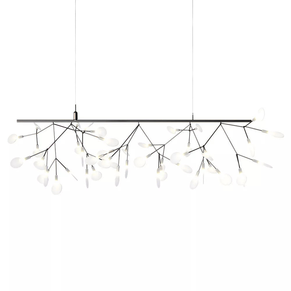 Heracleum Chandelier