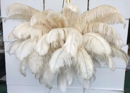 Ostrich Feather Chandeliers