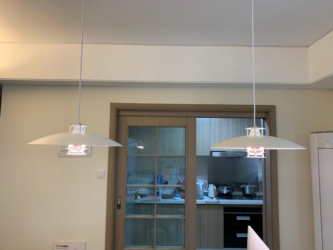 JL 341 Pendant Light