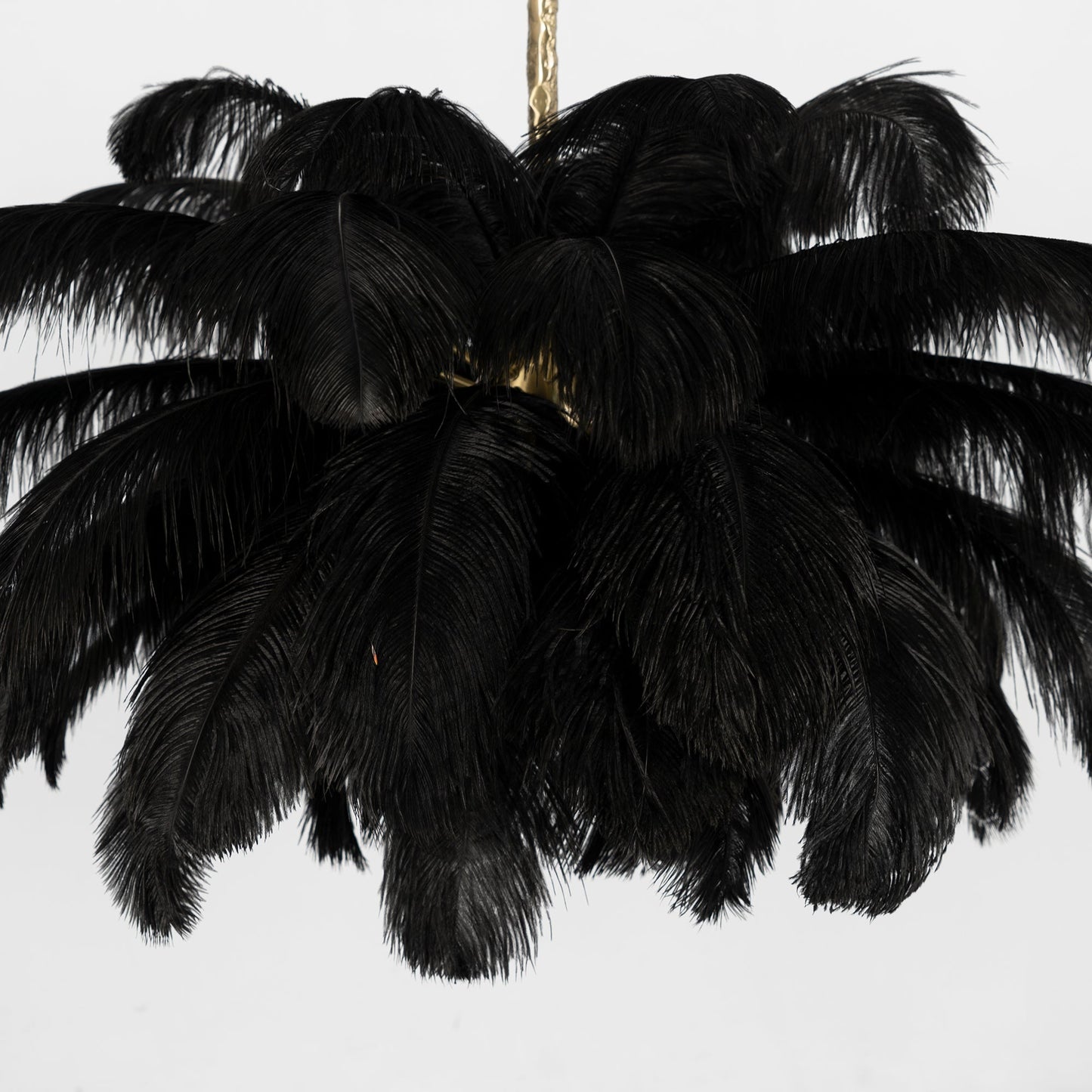 Ostrich Feather Chandeliers