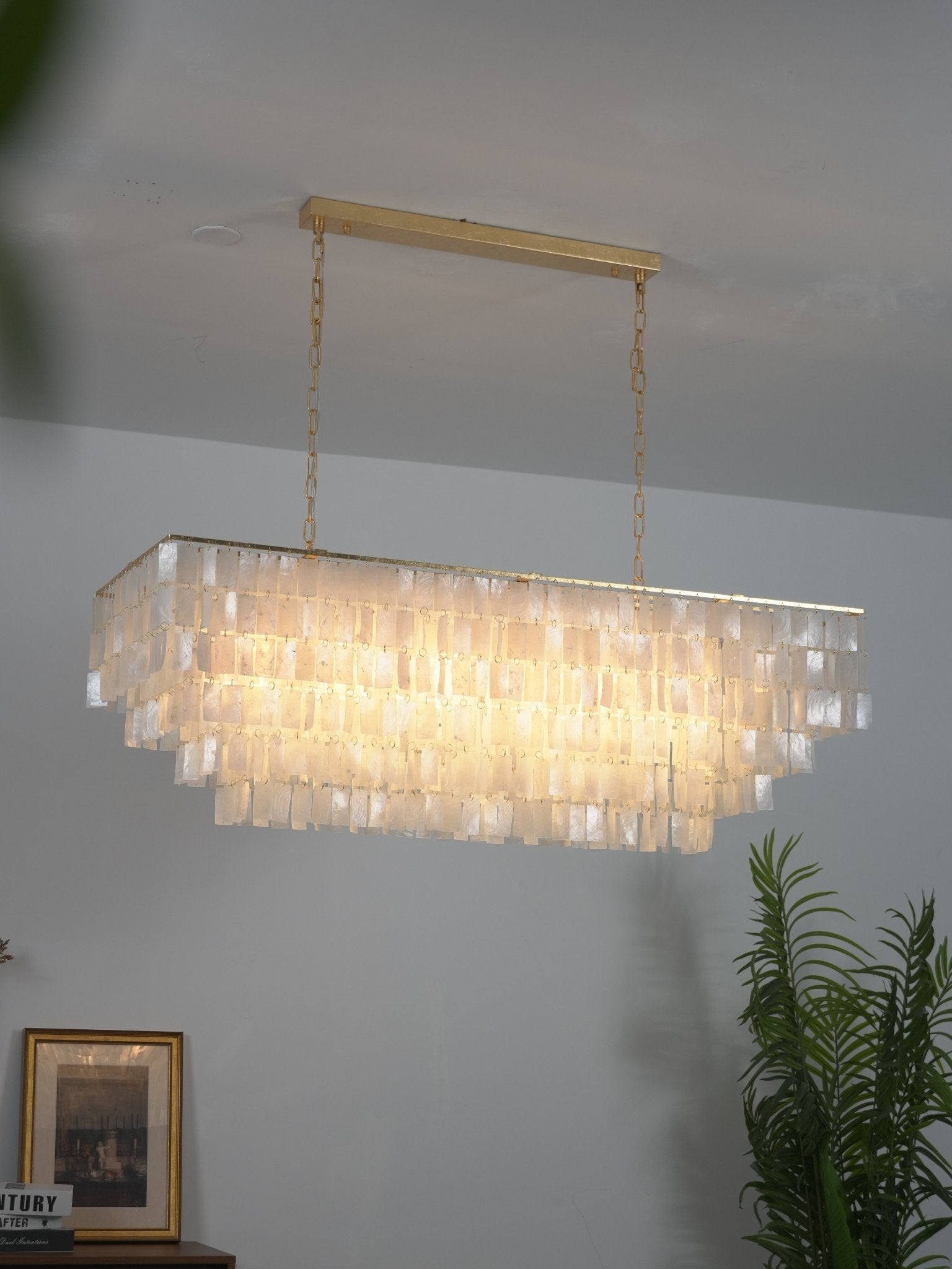 Round Shell Chandelier