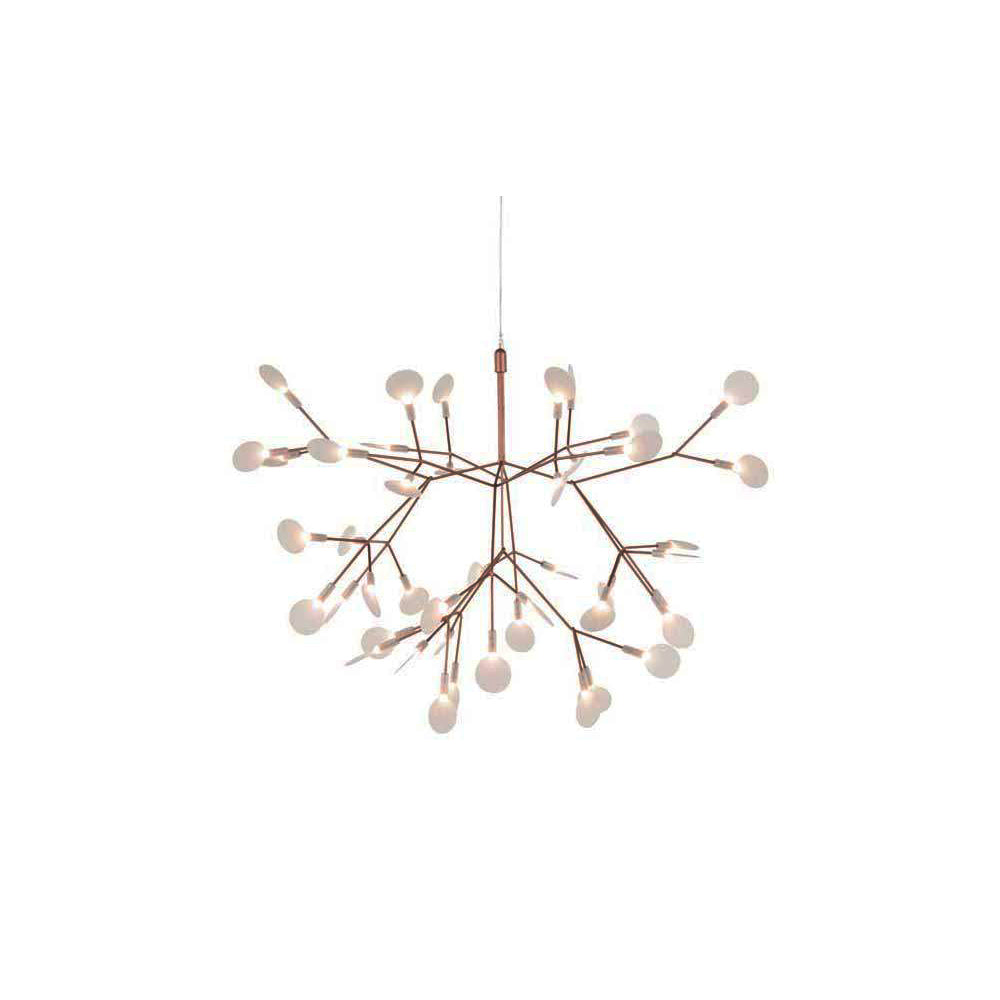 Heracleum Chandelier