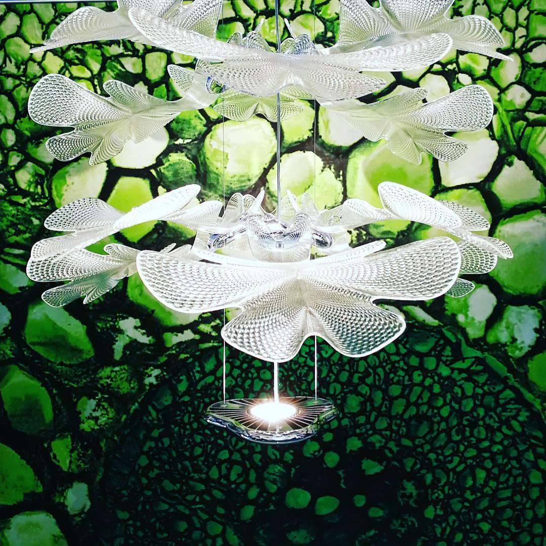 Chlorophilia Suspension Light