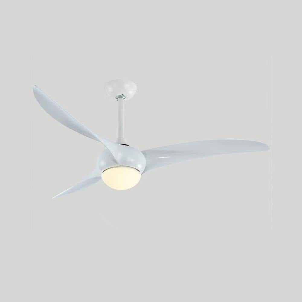 Traditional Ceiling Fan Light