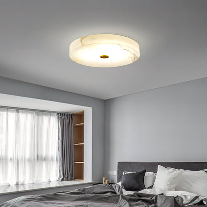 Ankeny Ceiling Light