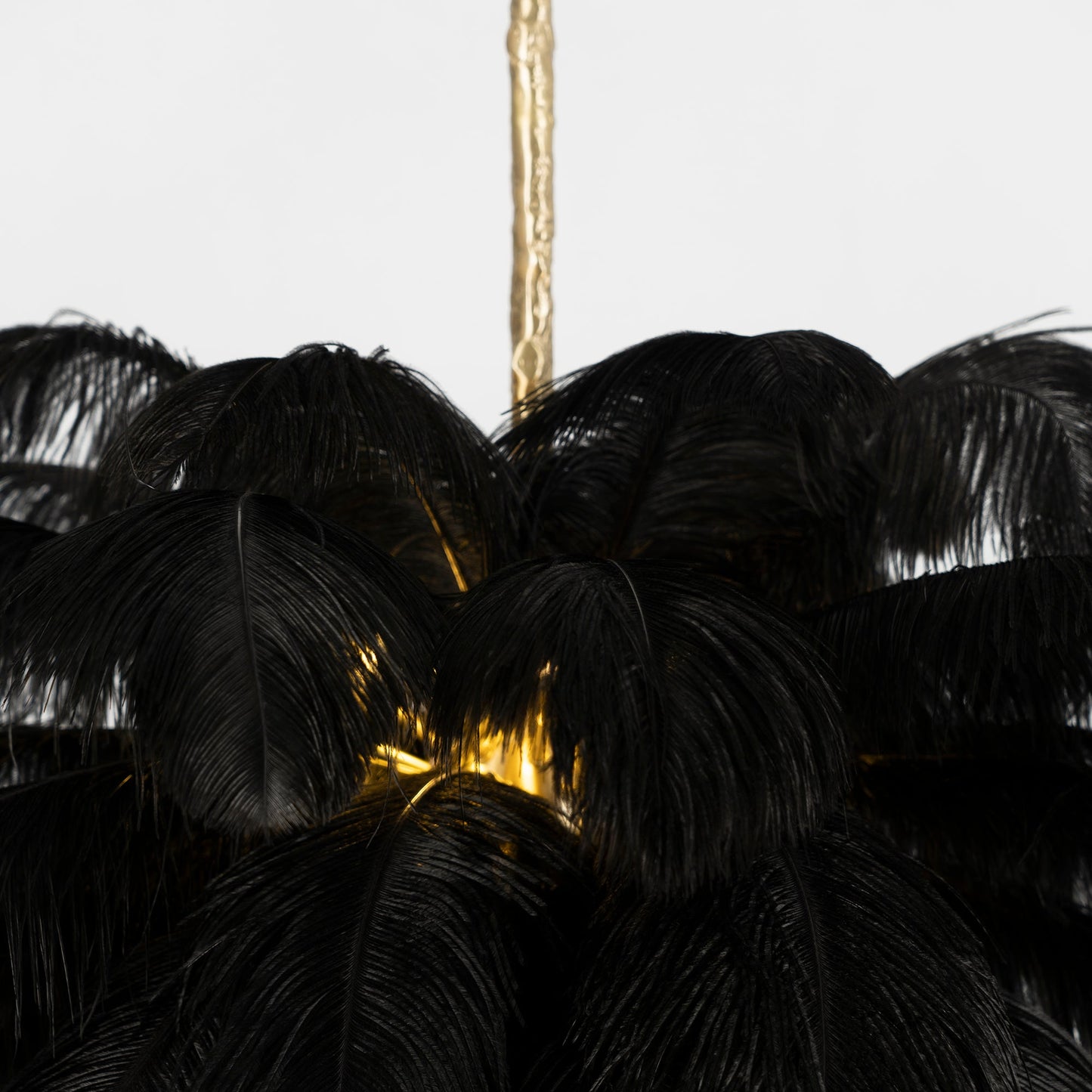 Ostrich Feather Chandeliers