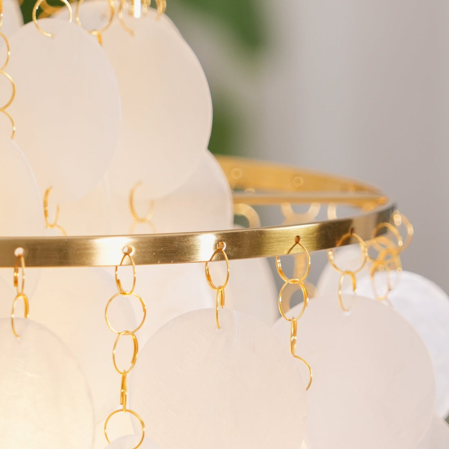 Round Shell Chandelier