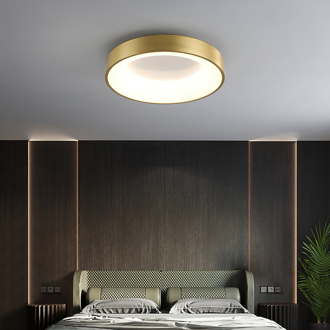 Liora Ceiling Light