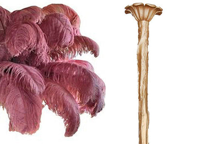 Ostrich Feather Chandeliers