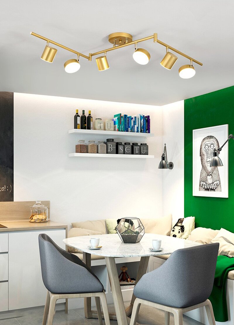 ضوء المسار ضوء السقف 