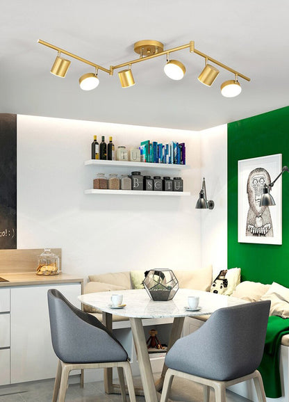 ضوء المسار ضوء السقف 